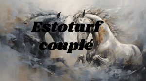 estoturf couplé i