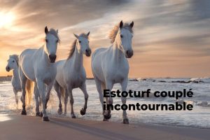 estoturf couplé incontournable