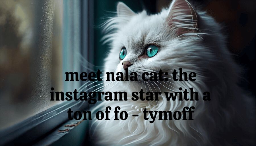 Meet Nala Cat: The Instagram Star With A Ton Of Fo – Tymoff