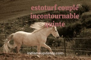 estoturf couplé incontournable quinte